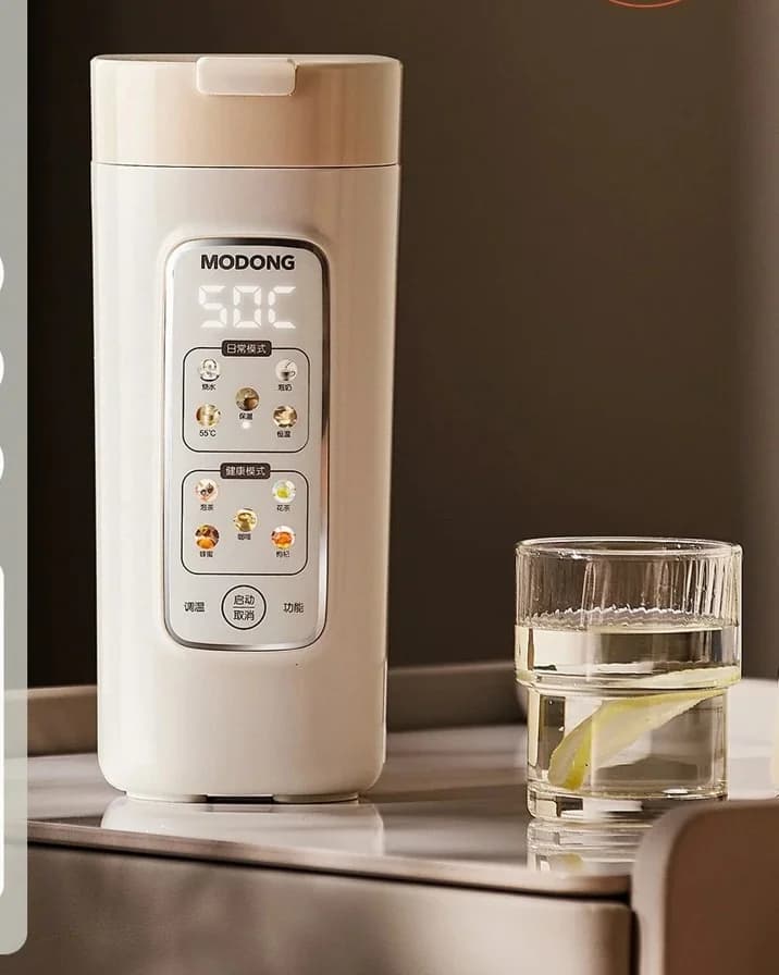 Pārnēsājama elektriska ūdens sildīšanas krūze ar filtru, 220V