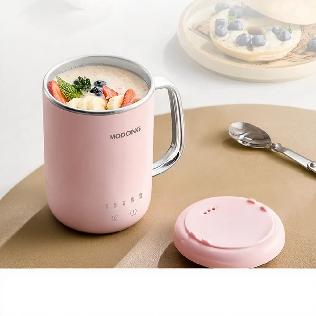 Pārnēsājama elektriskā sautējuma krūze 450ml 220V ar filtru un karoti