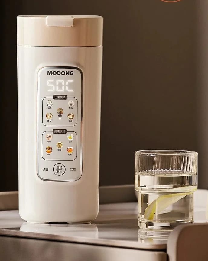 Pārnēsājama elektriska ūdens sildīšanas krūze ar filtru, 220V