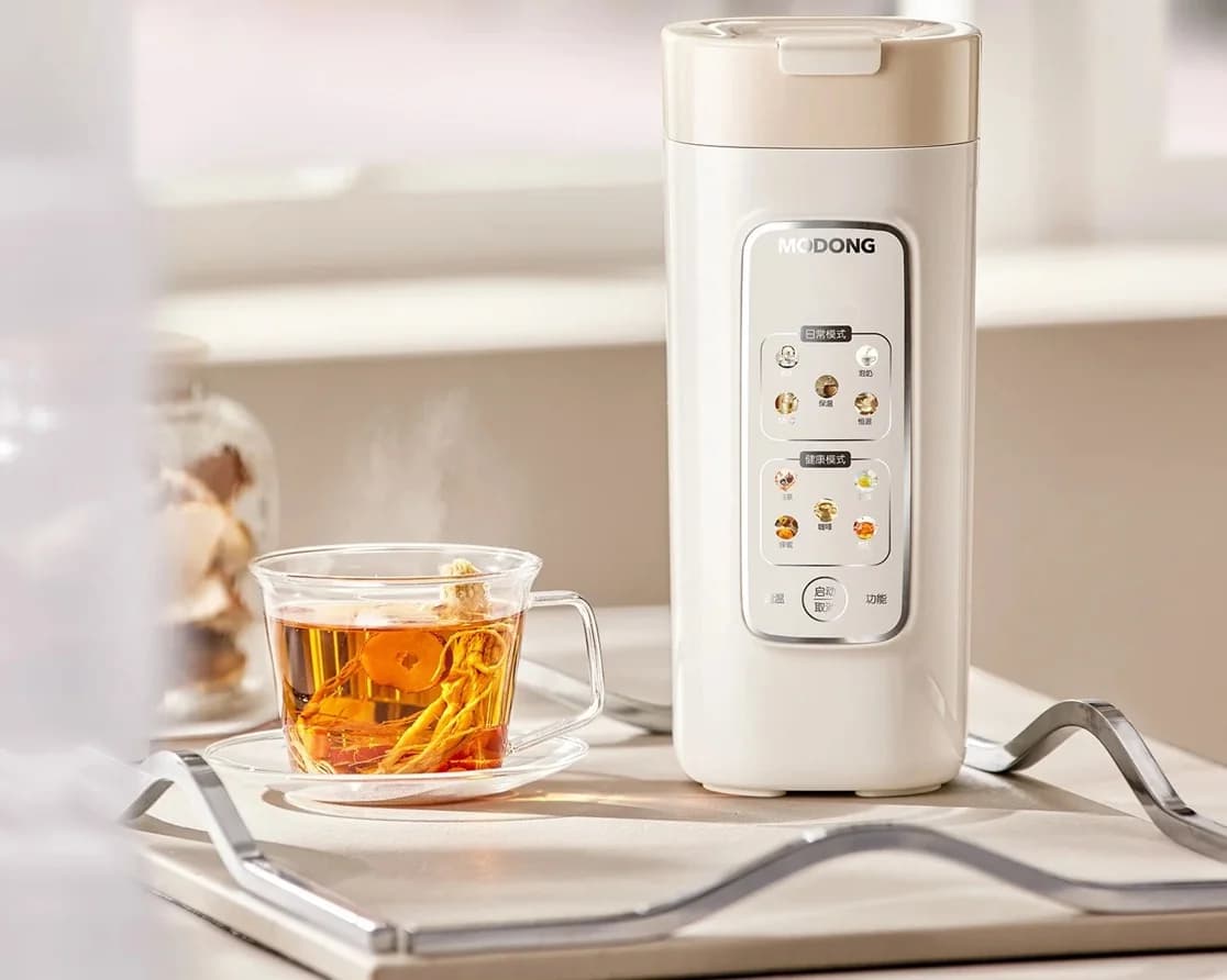 Pārnēsājama elektriska ūdens sildīšanas krūze ar filtru, 220V