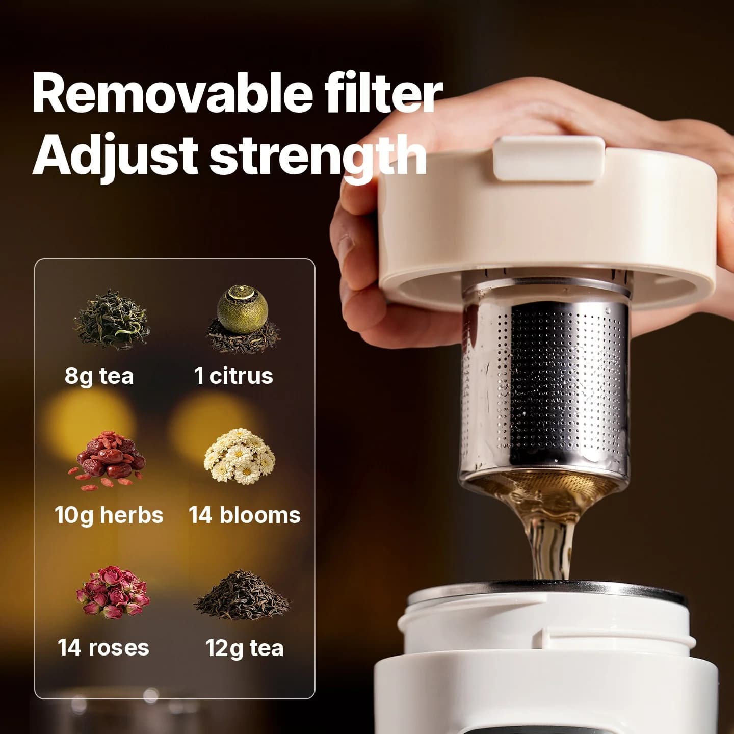 Pārnēsājama elektriska ūdens sildīšanas krūze ar filtru, 220V